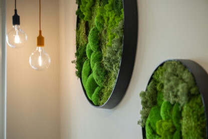 TORREN_250627_1_0079